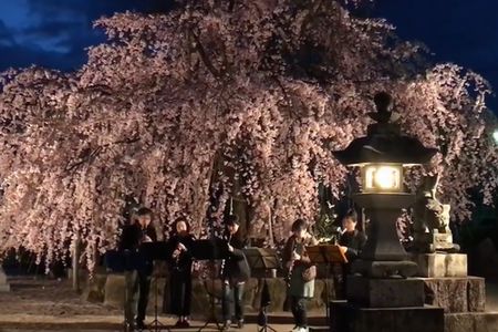 観音神社　夜桜コンサート